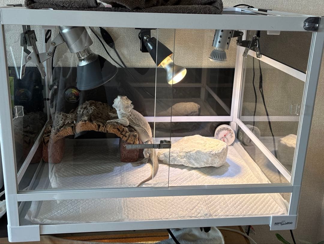 ぽ*☆様 パンテオンホワイト WH6045 飼育ケージ シェルター付き