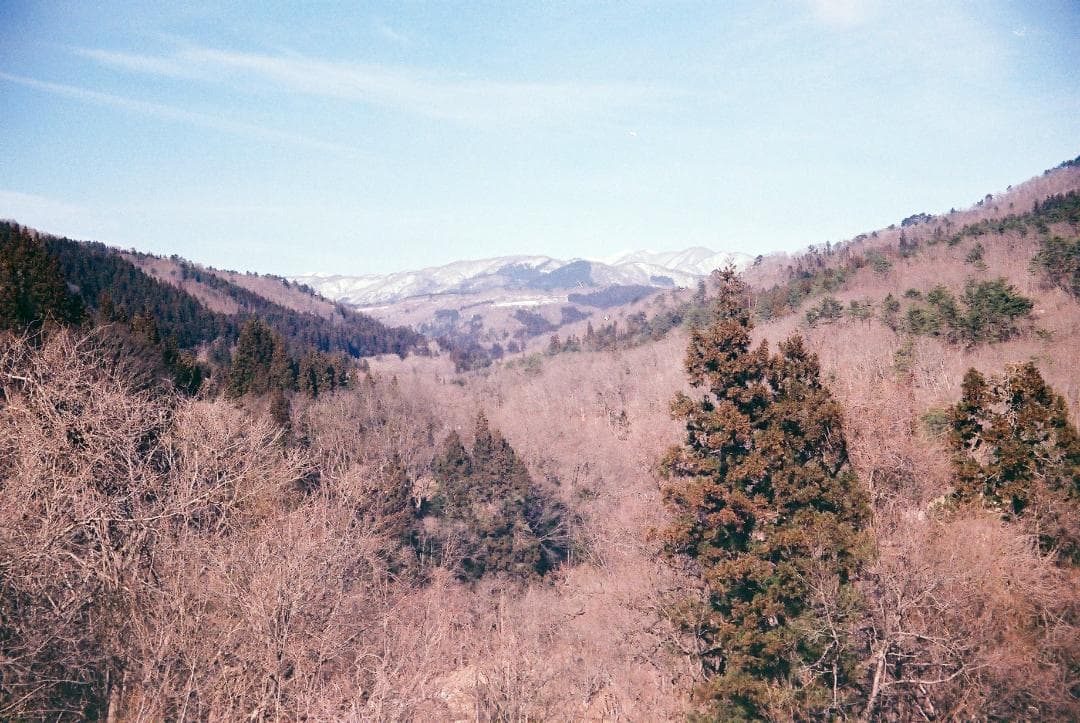 アグファ ジレッテ／カラーアグナー45mmf3.5革ケース付【実写確認済整備品】