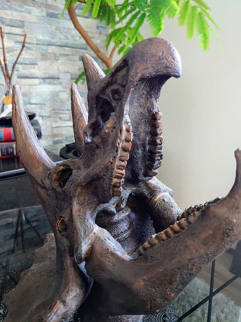 【DINOWORLD】トリケラトプス 頭骨レプリカ ※箱無し