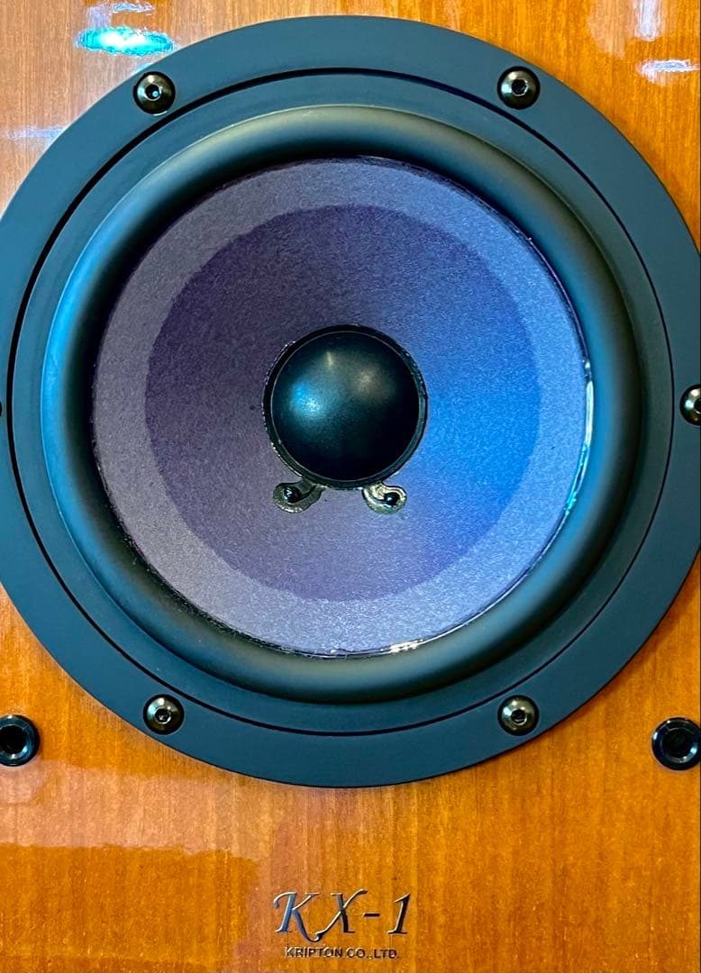 明日2月１日に￥3,000値下げ予定【美品】クリプトン　KRIPTON　KX-1