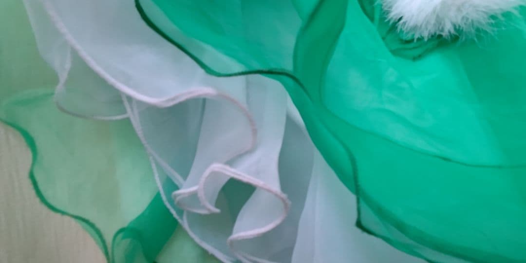 社交ダンスドレス！Gentil社スタンダードドレス！グリーン！