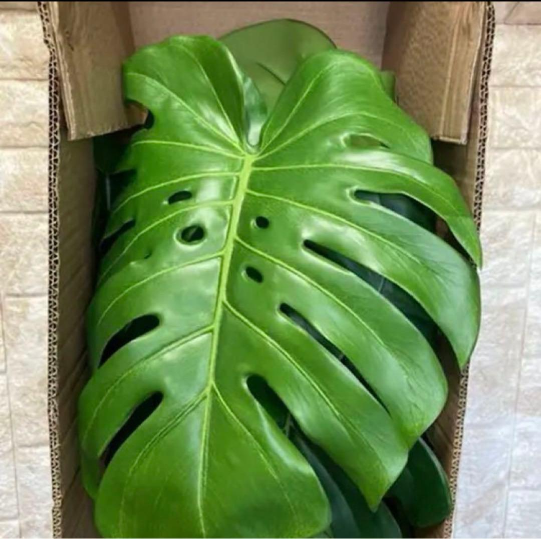 光触媒　人工観葉植物　ウォールグリーン　フェイクグリーン　モンステラ125