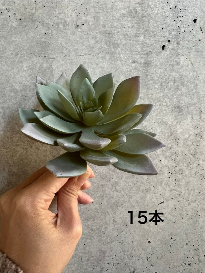 【東京堂】フェイクグリーン　多肉植物系セット