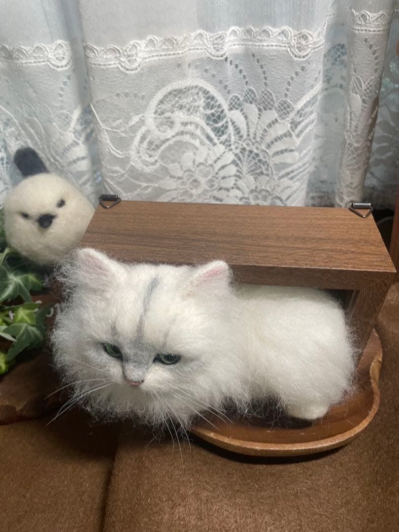 羊毛フェルト　猫　チンチラシルバーちゃんBOX型フレーム