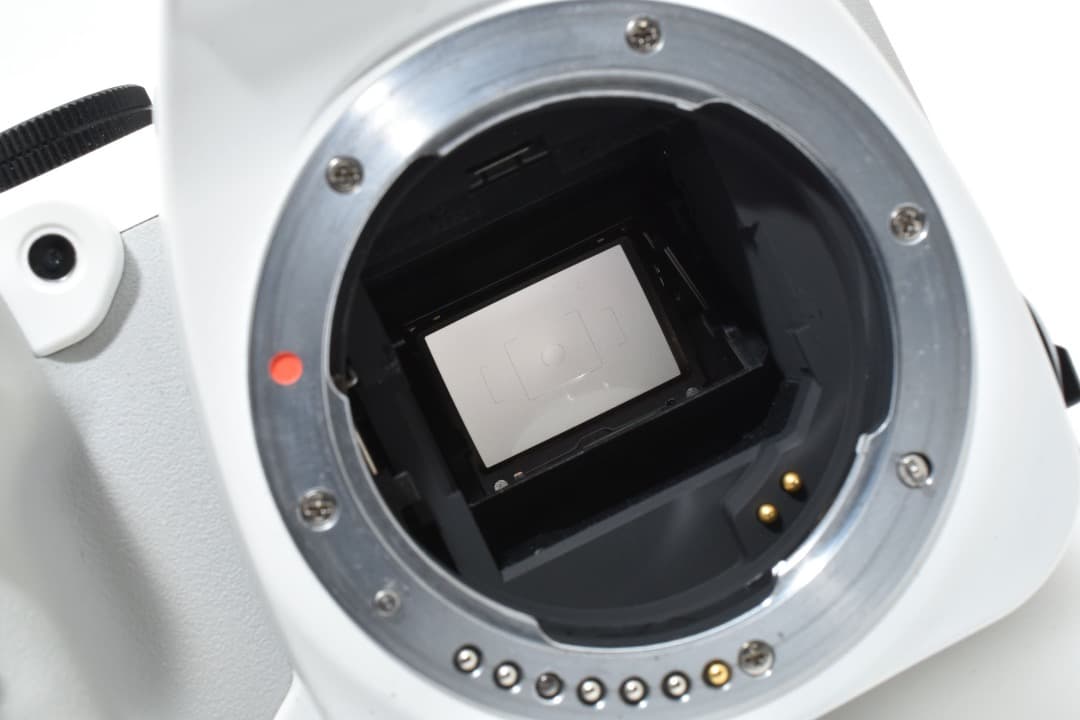 ★ショット数: 16872回★ ペンタックス PENTAX K-S2 #1077