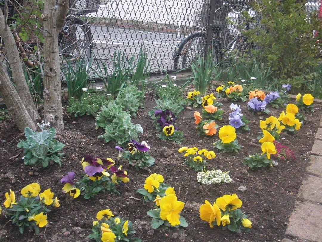 実写美⭕️美品【動作確認済】CASIO ハイスピード EXILIM EX-FS10