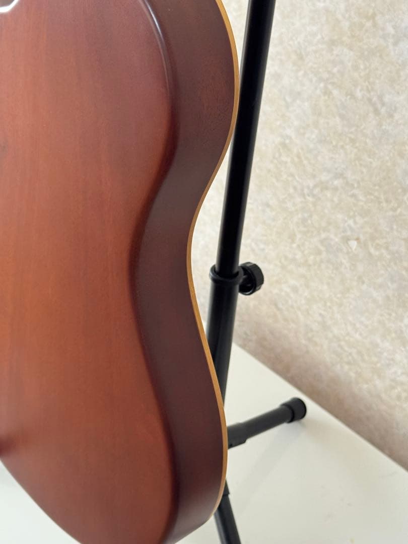 ESP BambooInn-K ナイロン弦タイプcharプロデュース