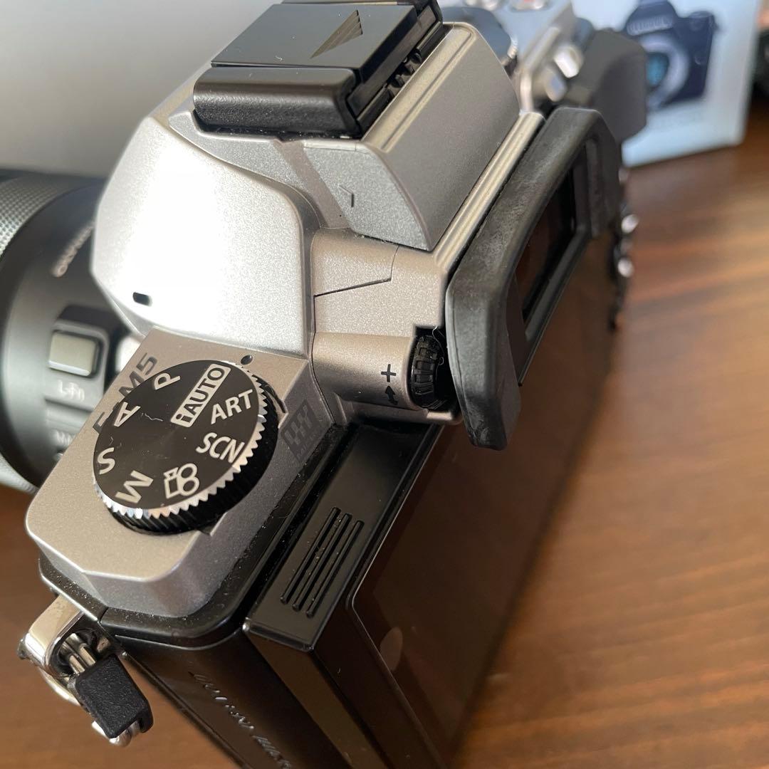 オリンパスOM-D E-M5