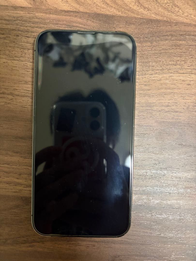 Apple iPhone 13 Pro グラファイト本体