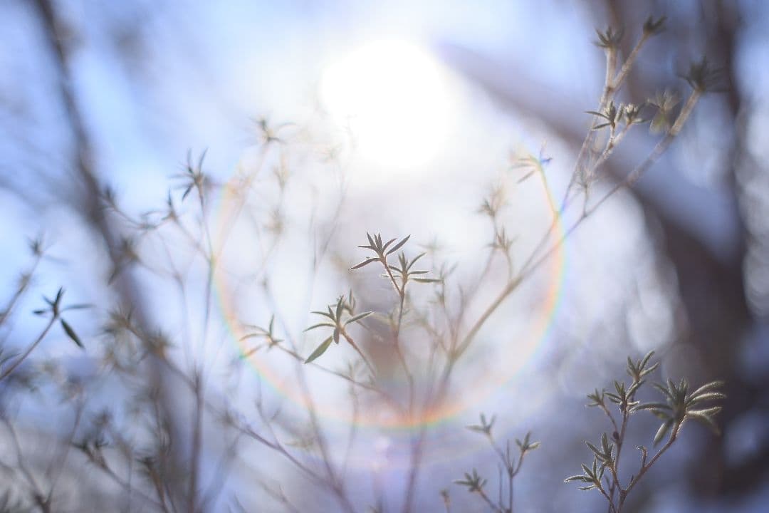 Super-Takumar 55mm F1.8 前期型 S/N：1252818