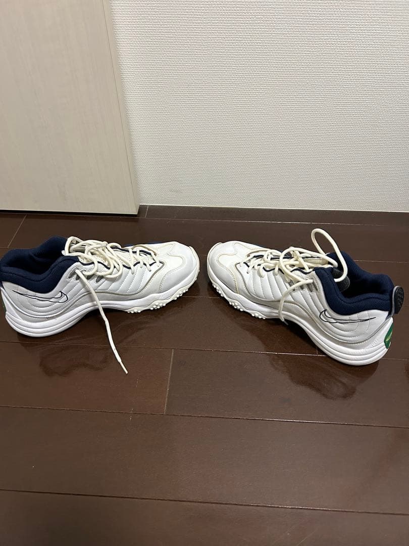 NIKE エアズームフライト5 26㎝