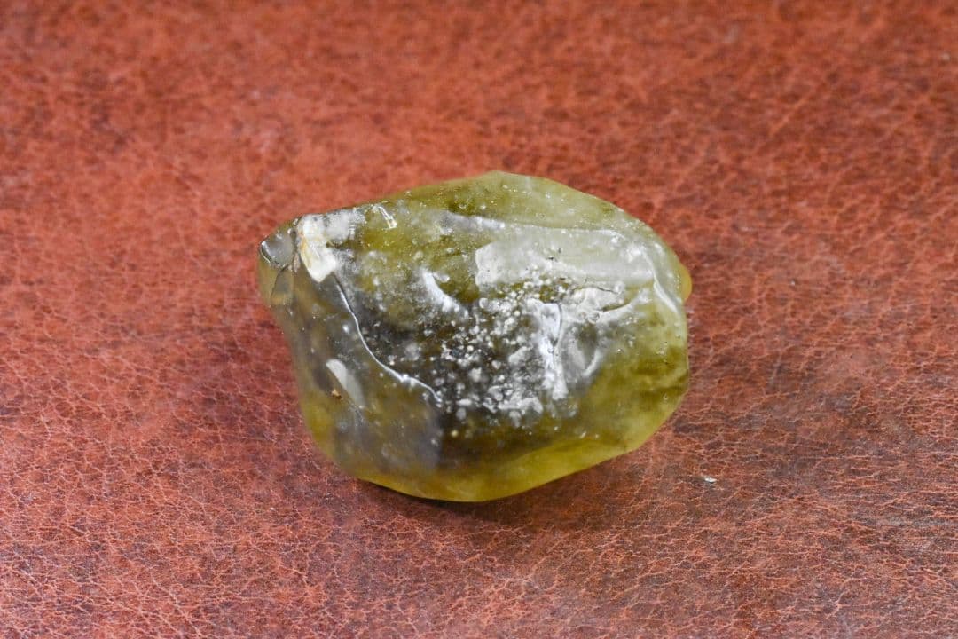 ブラックリビアングラス