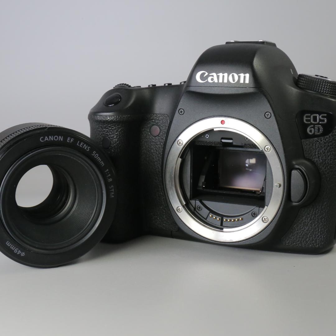 ☆美品☆ Canon 6D フルサイズ　50ｍｍ F1.8 STM ＃225
