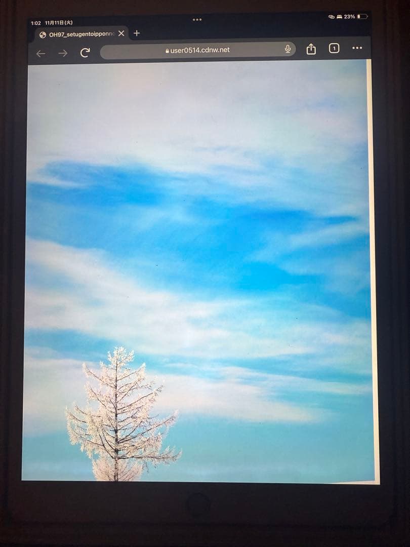 iPad Pro 10.5インチ Wi-Fi+Cellular 64GB