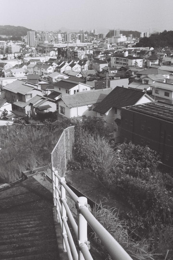 Nikomat EL　ALPEXレンズ付き実写済み