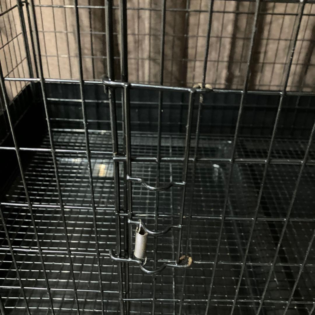 ワイルドホーム 三晃商会 小動物用ケージ イージーホームフェレット