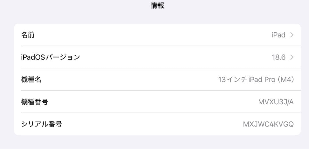 I*t様 iPad pro13インチm4