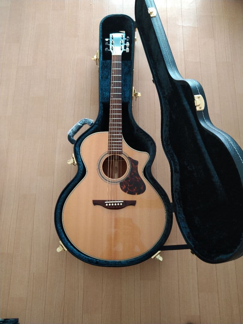 限界価格時間限定HISTORY NTC4 Fishmanピックアップ