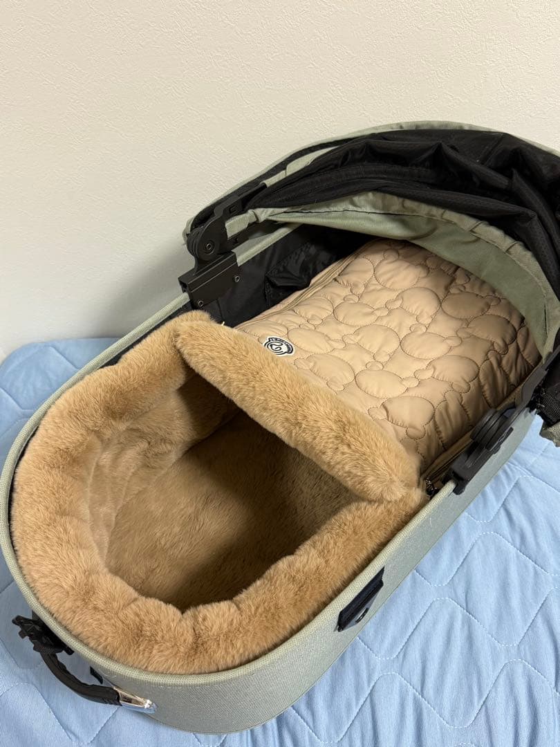 エアバギー DOME3ラージサイズ レインカバークッション付き