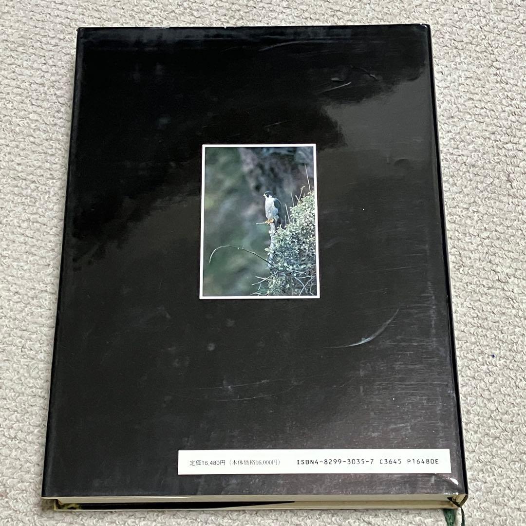 図鑑　日本のワシタカ類