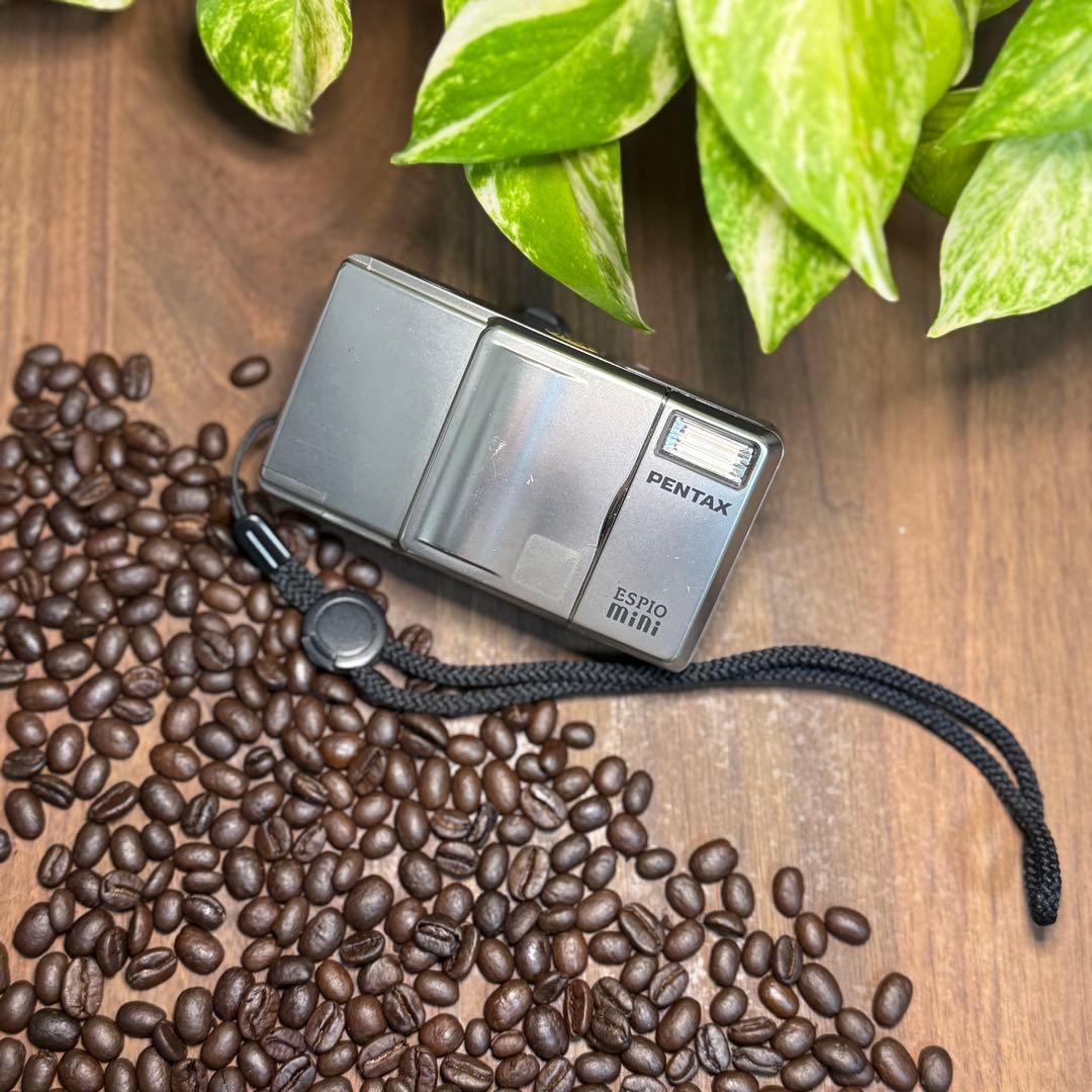 ✨取説付の美品✨PENTAX ESPIO mini 75周年 限定 シルバー