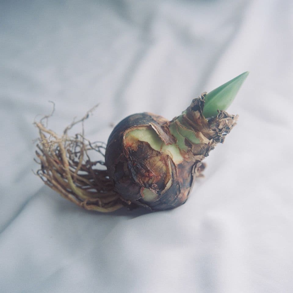 ROLLEIFLEX 3.5F Planar ＋ ローライナーⅢ