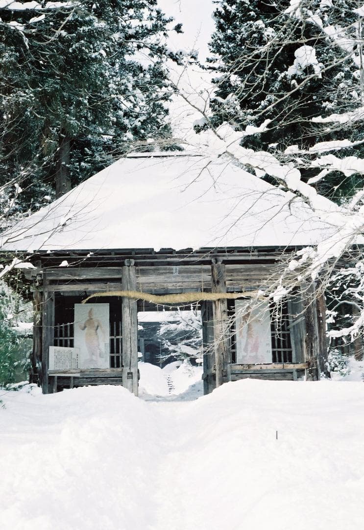 オリンパス35SP／Gズイコー42mmf1.7フード付【実写確認整備済】