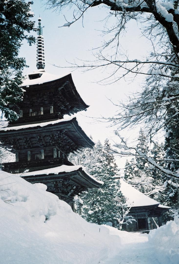 オリンパス35SP／Gズイコー42mmf1.7フード付【実写確認整備済】