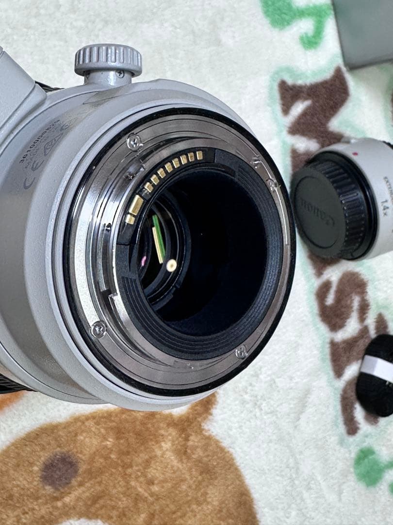 EF100-400mm f/4.5-5.6L IS II USM+エクステンダー