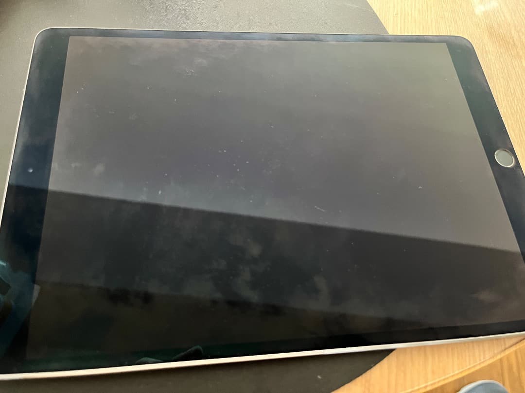 iPad Pro 10.5インチ 256GB Wi-Fi Cellular