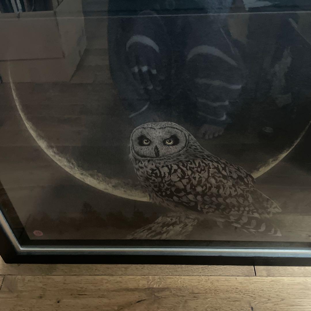 金澤隆 日本画 夜の帳 フクロウ インテリア 額縁 絵画