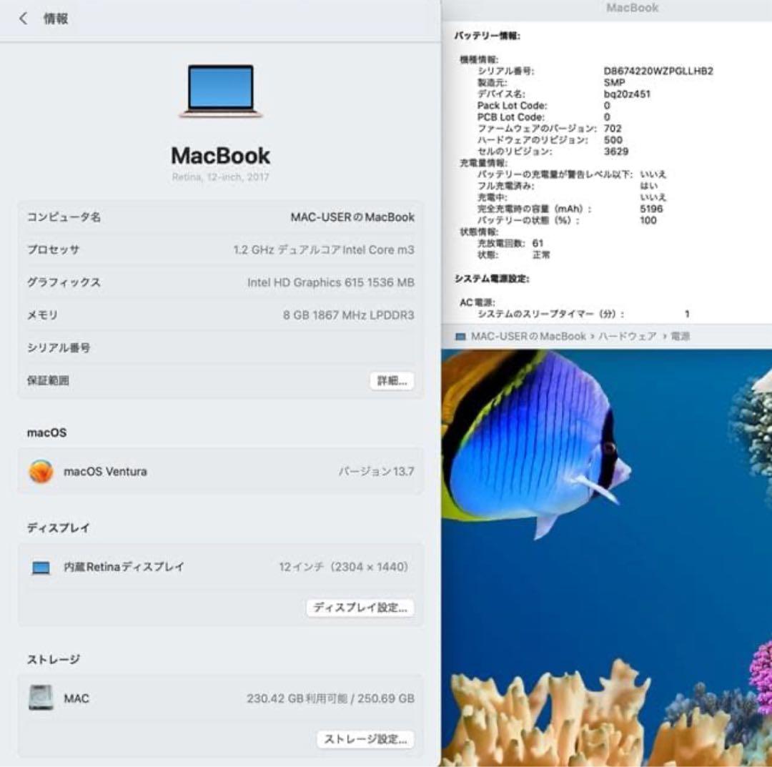 MacBook本体 MacBook Retina 2017 m3/8GB/256GB ROSE