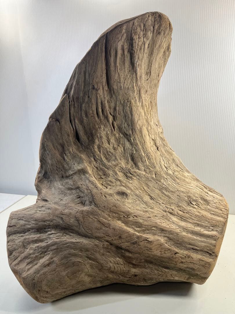 k64大型流木 アク抜き済み 爬虫類シェルター レイアウト用 登り木 インテリア