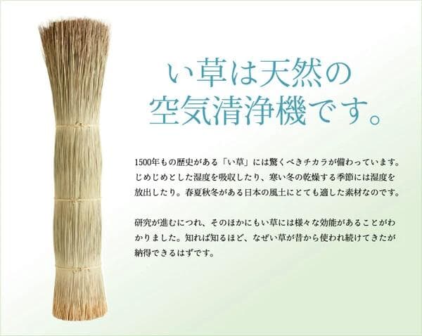新品＊純国産 ＊い草花ござカーペット＊江戸間２帖１７４×１７４センチ＊両面使用可