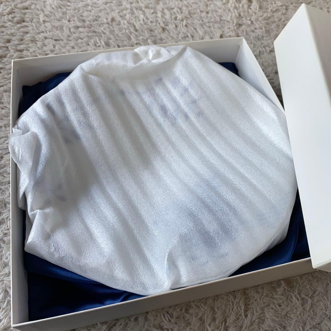 【ロイヤルコペンハーゲン】 ブルーフルーテッド 皿 25cm 2枚セット