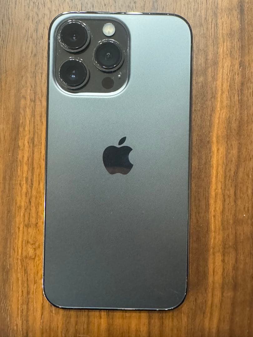 【美品】iPhone13 Pro 256G 海外版 グラファイト シャッター音無