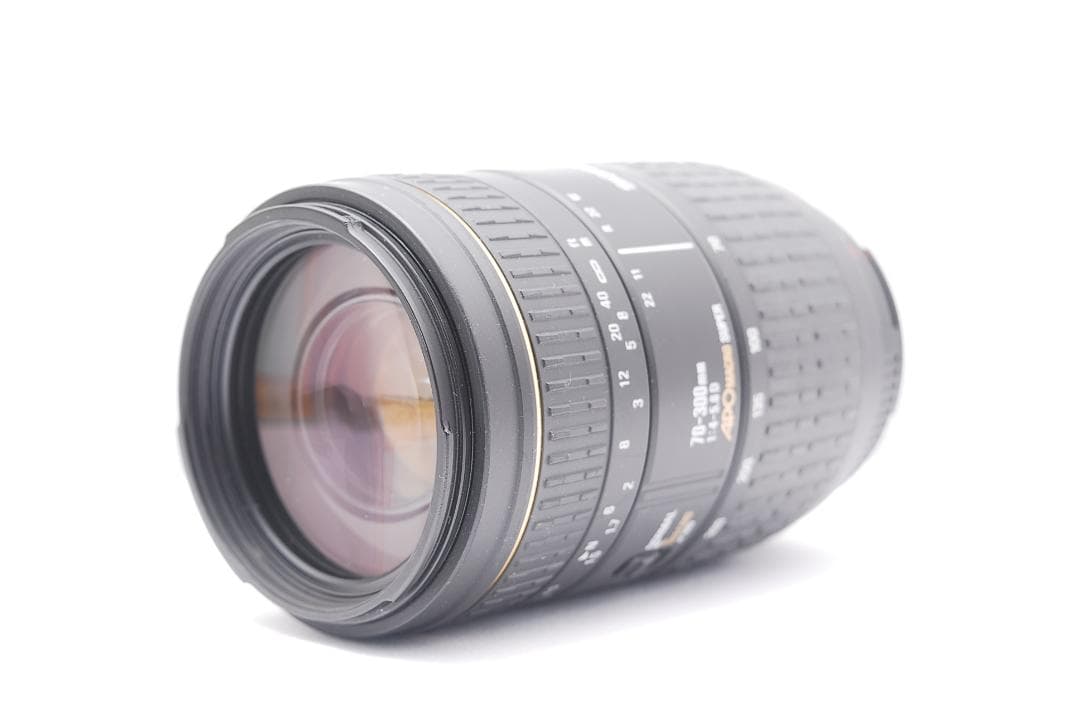 ✨不朽の名作✨Nikon D90望遠レンズセット、豪華おまけつき（２枚目以降）✨