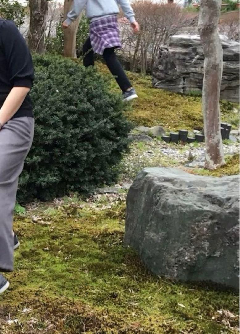 庭石 大 約90×50×45㎝ まとめ割