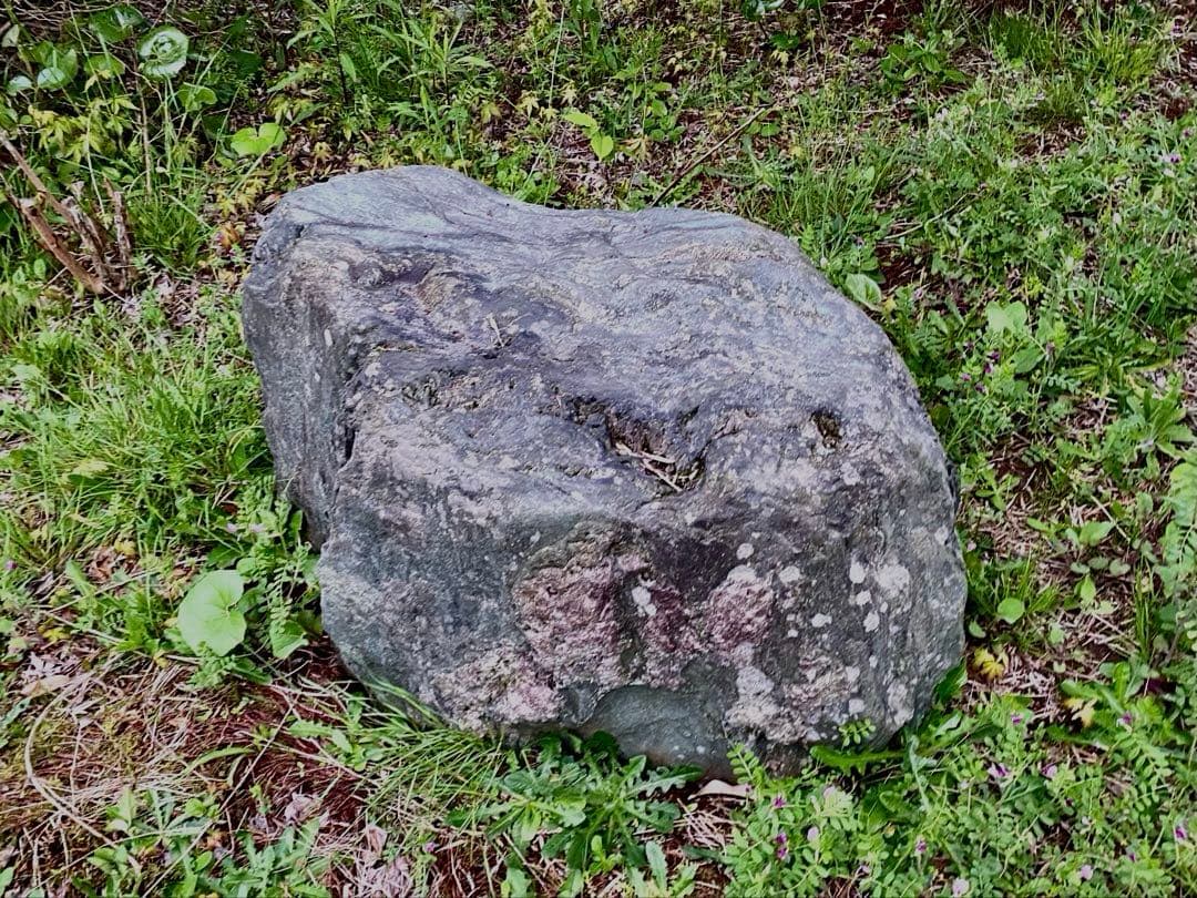 庭石 大 約90×50×45㎝ まとめ割