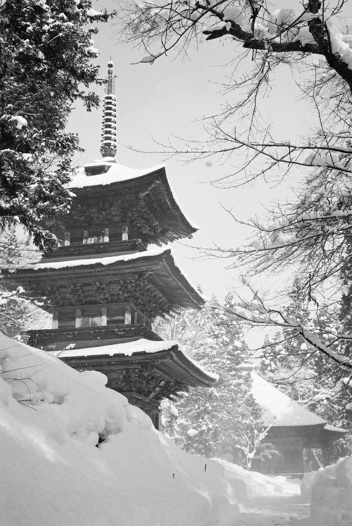 オリンパス35UC／Gズイコー42mmf1.7SL1B-F付【実写確認整備品】