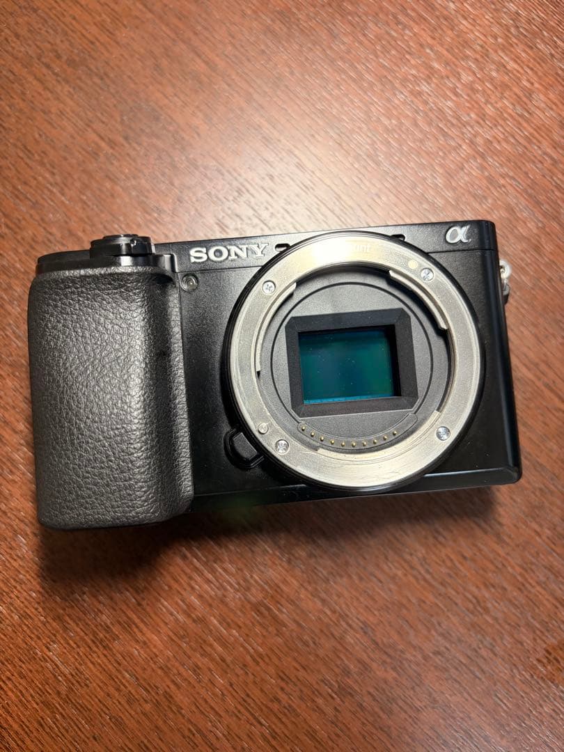 SONY α6100 ミラーレスカメラ 本体のみ (予備バッテリー付き)
