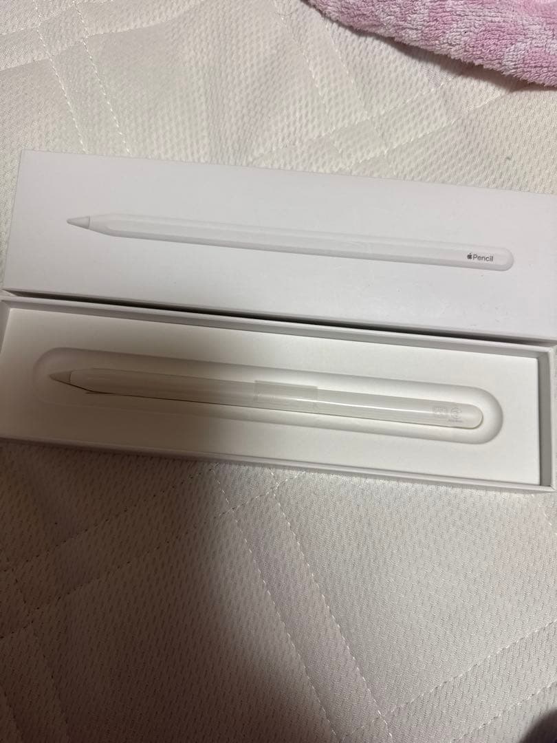 Apple Japan(同) iPadPro Apple Pencil 第2世代