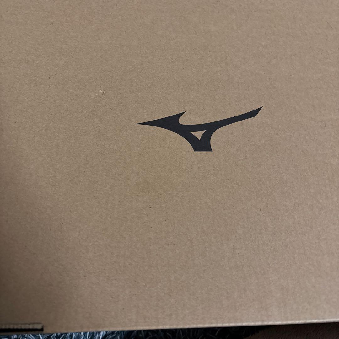 ピ*ー様 Mizuno ALMIGHTY LS II 73M 安全靴 レッド　2