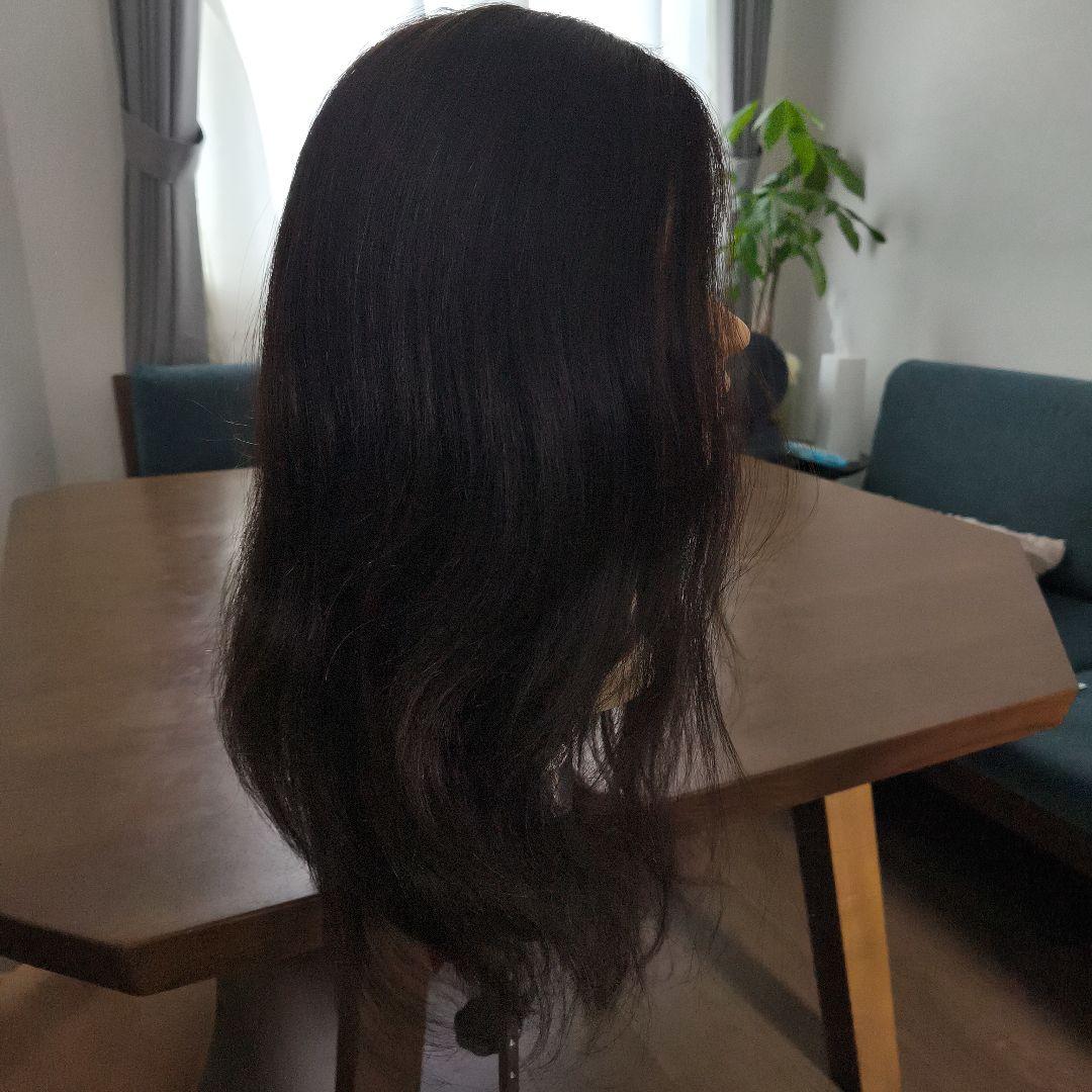 【早いもの勝ち】ウィッグ レジーナ アップ用 088 SDL ロング