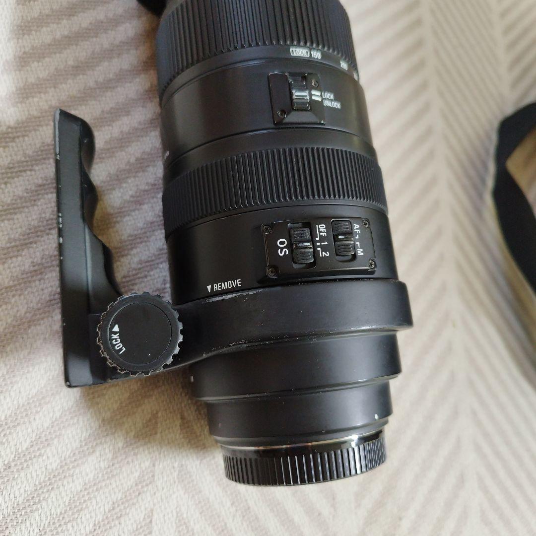 SIGMA DG 150-500mm 1.5-6.3 APO HSM レンズ
