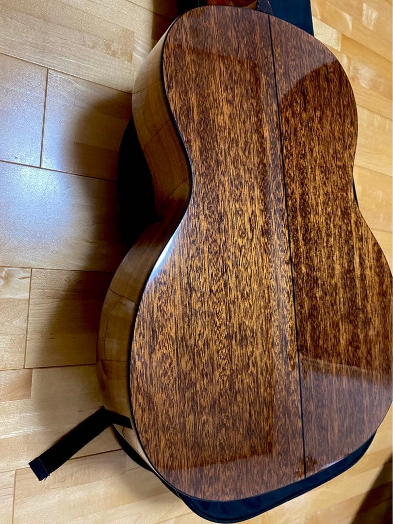 壱*徹様 値下げ❢珍‼️ ラップスチールギター　改造品　フレットレス動画あり