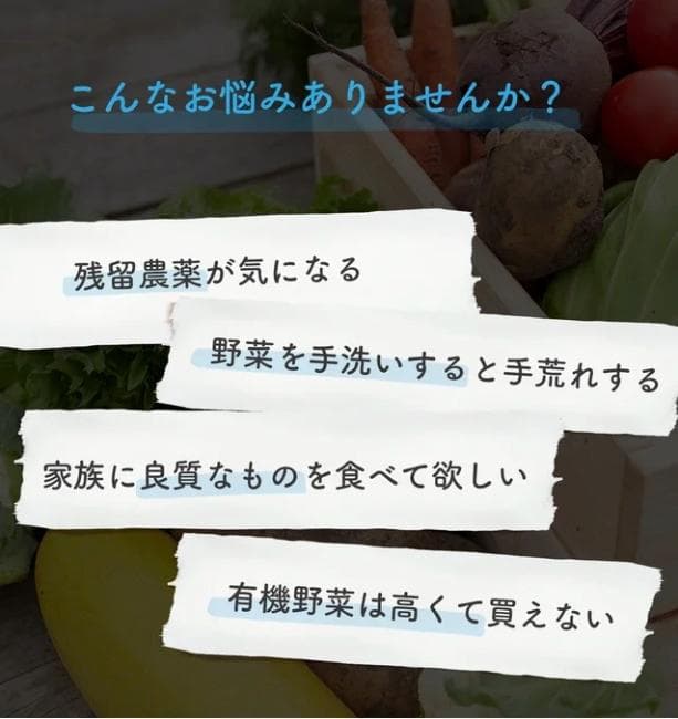 CLIVIO クリビオ　水だけで農薬100％除去　次世代食洗機　値下げ中