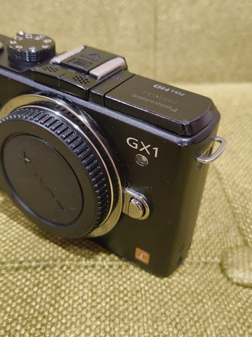 LUMIX GX1 ミラーレスカメラ