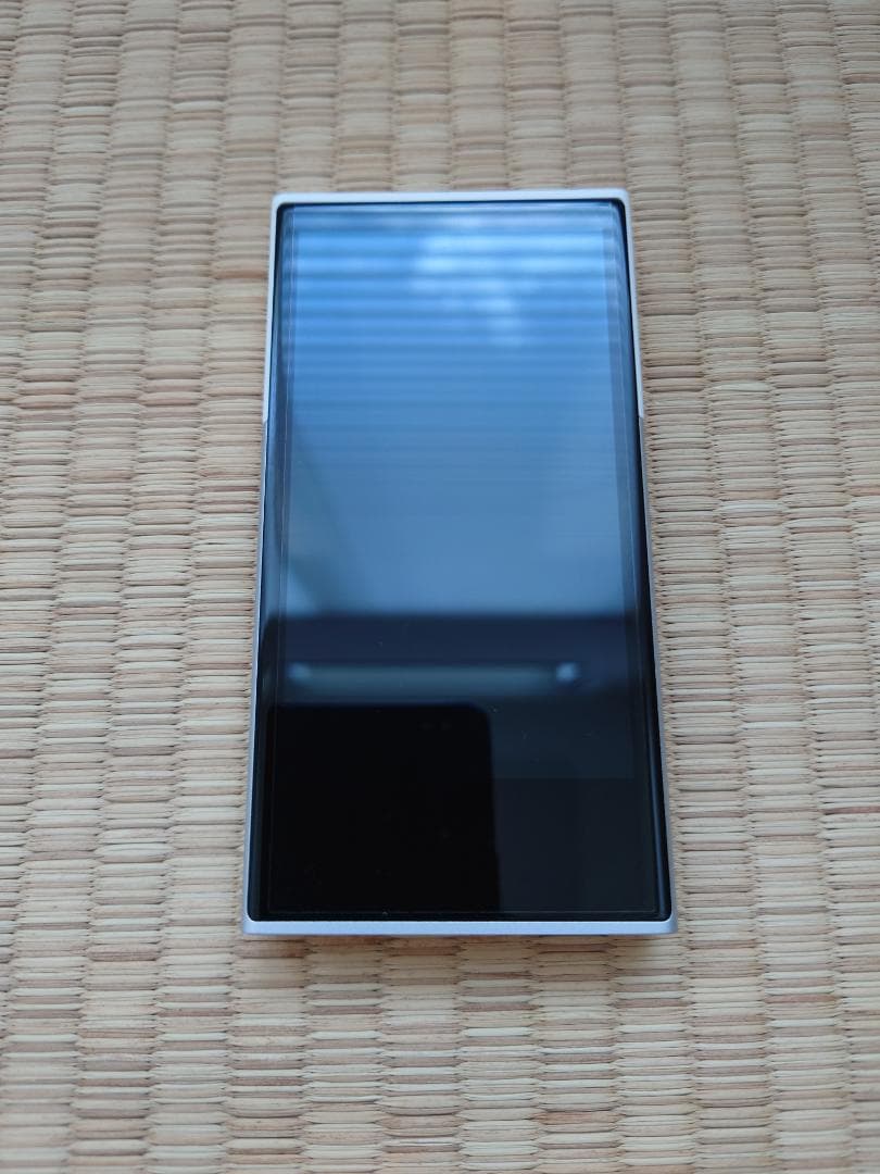 ACTIVO P1 デジタルオーディオプレーヤー（ケース付）