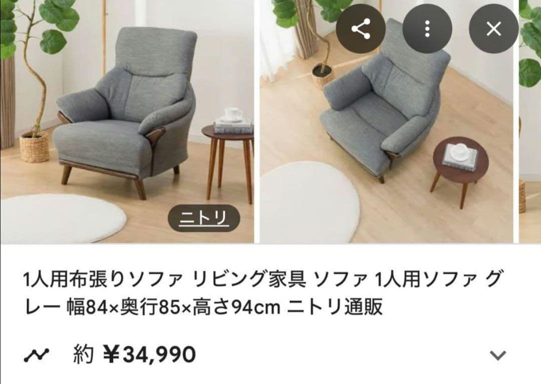 一人掛けソファ　ニトリ　コウテイ3